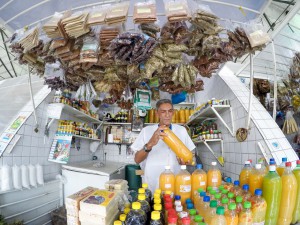 Microempreendedores industrializam tucupi