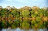 Governo do Amazonas reúne ONGs e ambientalistas em fórum para discutir nova matriz econômica e ambiental do Estado