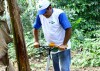 Equipamento que agiliza desbrota da bananeira entra no mercado este ano