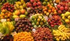 Amazonas terá uma usina de processamento de frutas no interior do Estado