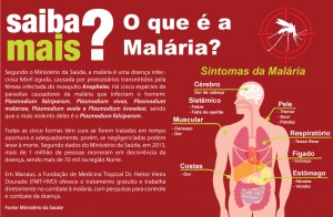 Estudo desenvolverá ferramentas para o bloqueio da infecção da malária
