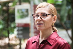 Sessão especial debate desenvolvimento sustentável na Amazônia