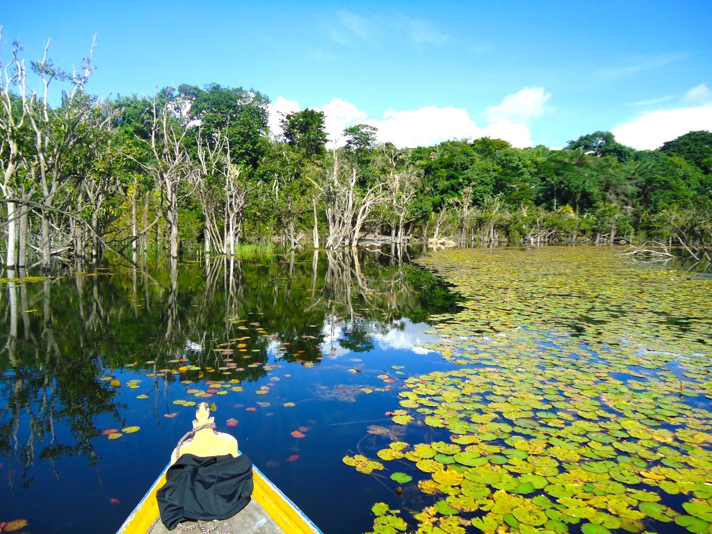 Com apoio da Fapeam, sistema irá gerar informações de previsão climática sazonal para a Amazônia