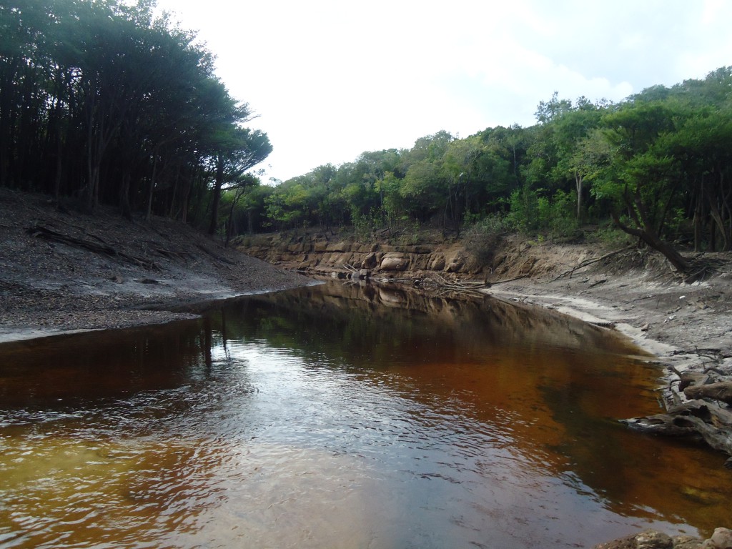 Estudo classifica águas de rios e igarapés para conservação da Amazônia
