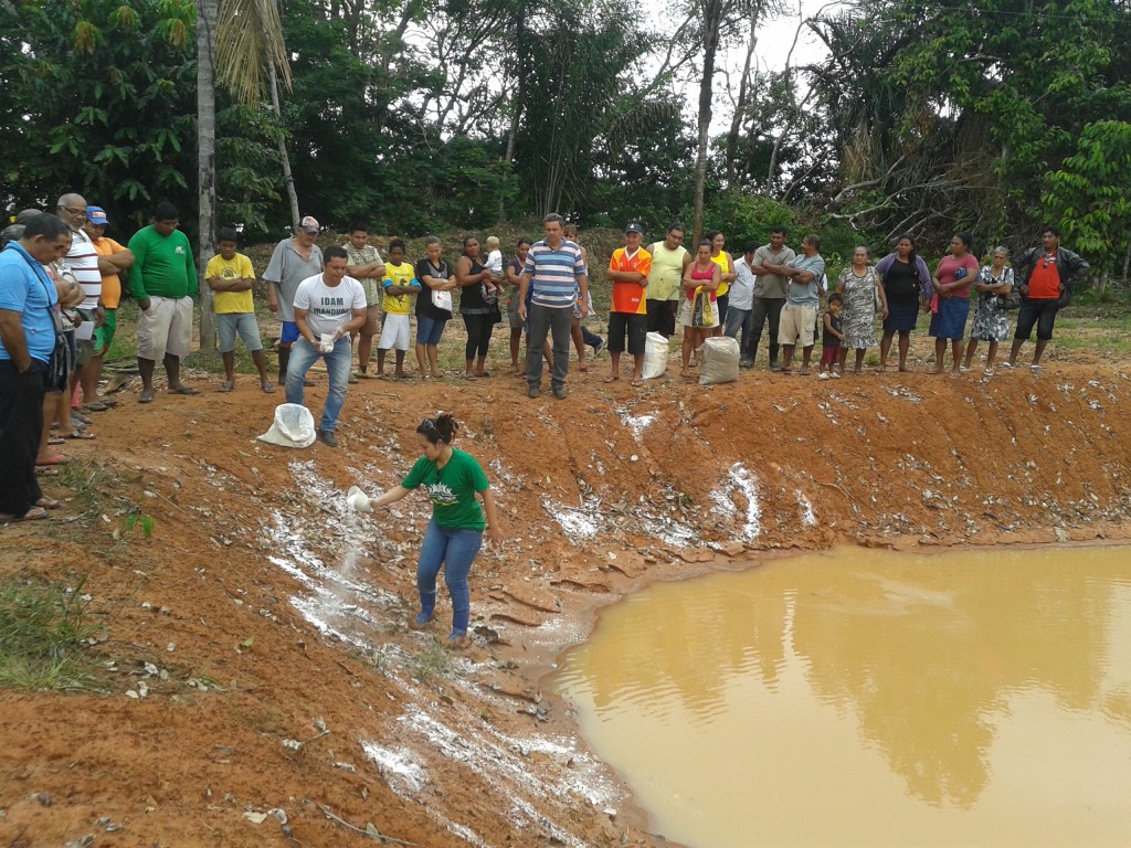 transferência tecnológica fortalece aquicultura no Amazonas