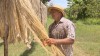Workshop debaterá estratégias de produção de juta e malva no Amazonas