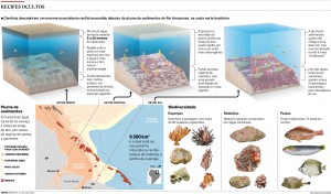 Cientistas descobrem recifes ocultos na foz do Rio Amazonas