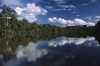 Alunos de Tabatinga promovem 1º Simpósio de Biodiversidade e Conservação do Alto Solimões