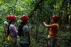 Pesquisadores analisam produtividade de andiroba em comunidades tradicionais no interior do Amazonas