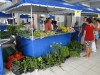 Com degustação de sucos e alimentos orgânicos, Ufam realiza 26ª edição da Agroufam