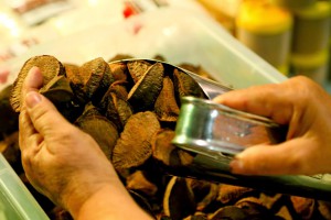 Estudo pretende mapear processo inovativo e potencialidades das bioindústrias no Amazonas