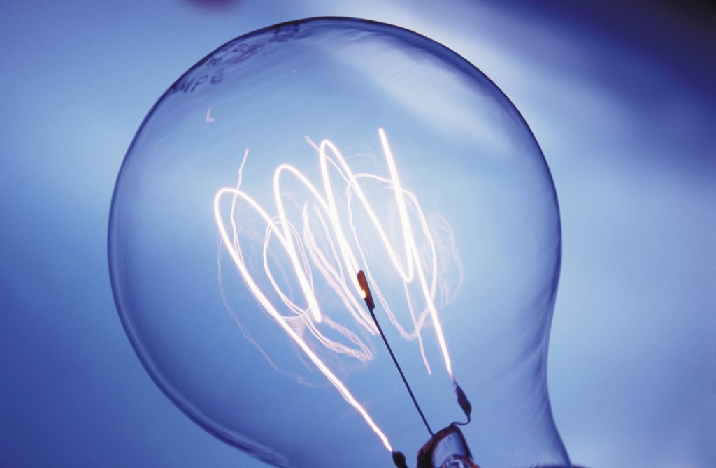 Pesquisa analisa a utilização de resíduos de frutos amazônicos para geração de eletricidade