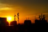 Pesquisadores observam efeito da temperatura em processos evolutivos