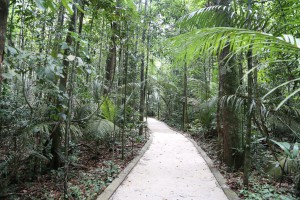 Com apoio da Fapeam, Museu da Amazônia faz com que visitantes tenham experiência única dentro da floresta amazônica