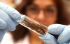 Estudo usa teoria matemática para descrever proliferação da doença de Chagas no Amazonas
