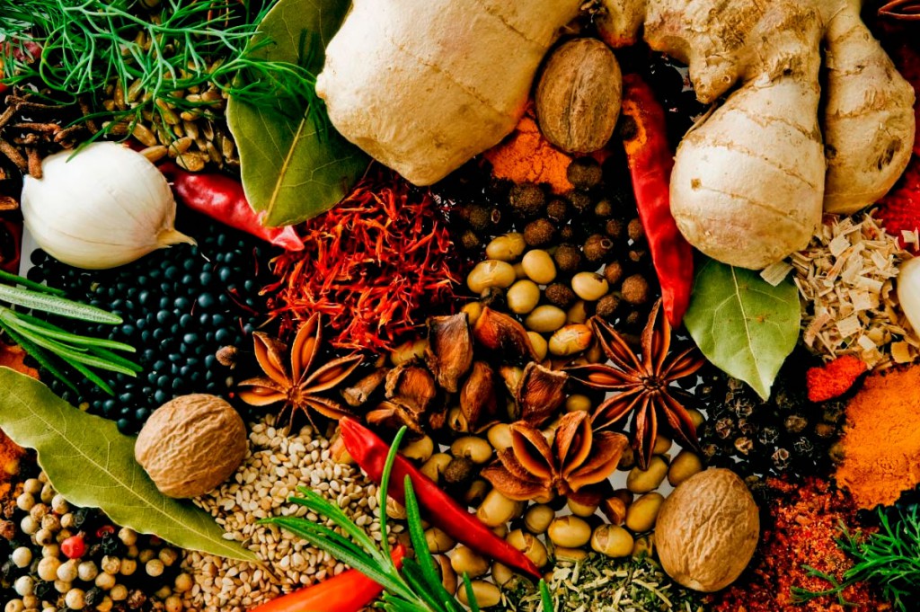 Estudo analisa espécies de plantas utilizadas pela população para tratamento da leishmaniose