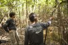 Conhecimento tradicional contribui para novo método de pesquisa para captura de pacas na Amazônia