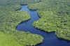 Estudo busca avaliar os efeitos de hidrelétricas sobre a diversidade amazônica a partir das assembleias de morcegos
