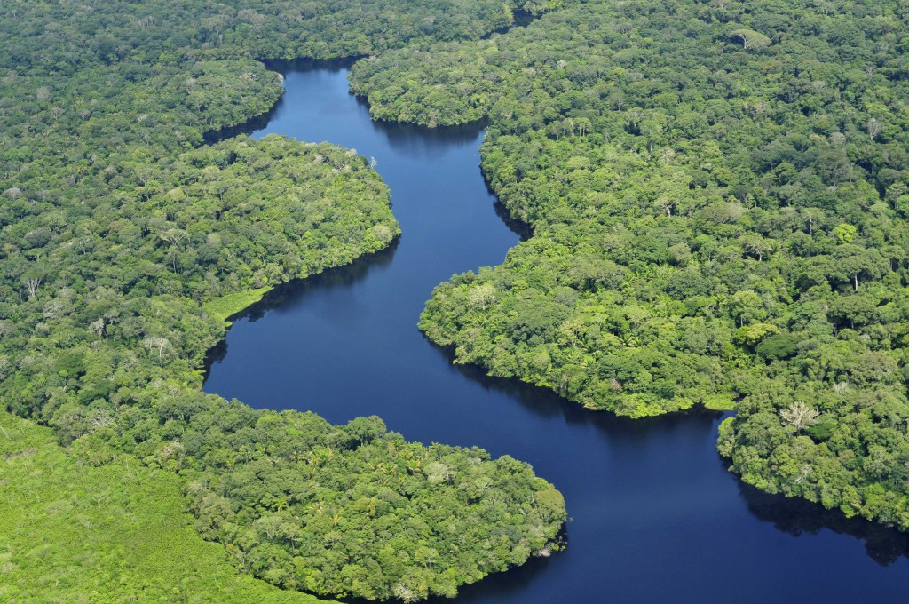 Estudo busca avaliar os efeitos de hidrelétricas sobre a diversidade amazônica a partir das assembleias de morcegos
