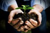 Sustentabilidade empresarial