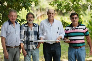Desperfilhador para bananeiras já pode ser encontrado no mercado