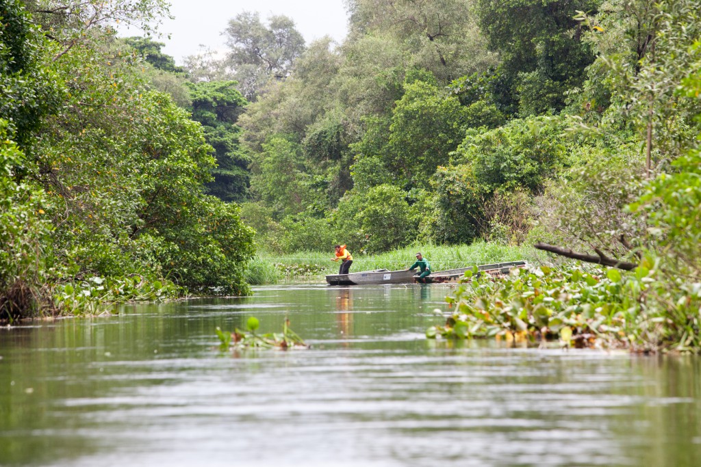 Prêmio Gestão Ambiental no Bioma Amazônia incentiva boas práticas