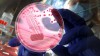 Projeto recolhe material genético em espaços públicos para mapear micro-organismos