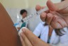 Instituto Butantan fecha parceria internacional para produção de vacina contra o zika