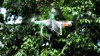 Diego utiliza o modelo DJI Phantom 1, que tem autonomia de voo de 15 minutos. Junto, a aeronave leva uma câmera GoPro de 12 megapixels para foto e video.