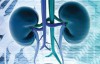 urologia