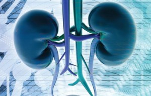 urologia