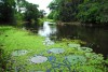Biodiversidade