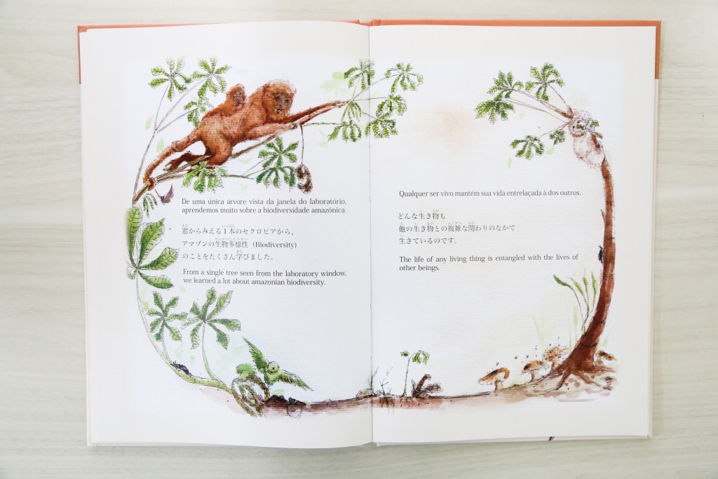 Livro Embaúba