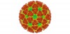 VIRUS -