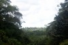 Amazônia2