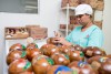 BOMBONS FINOS - CAIXA DE CASCA DE CUPUAÇU E EMBALAGENS - FOTO ÉRICO X._-173