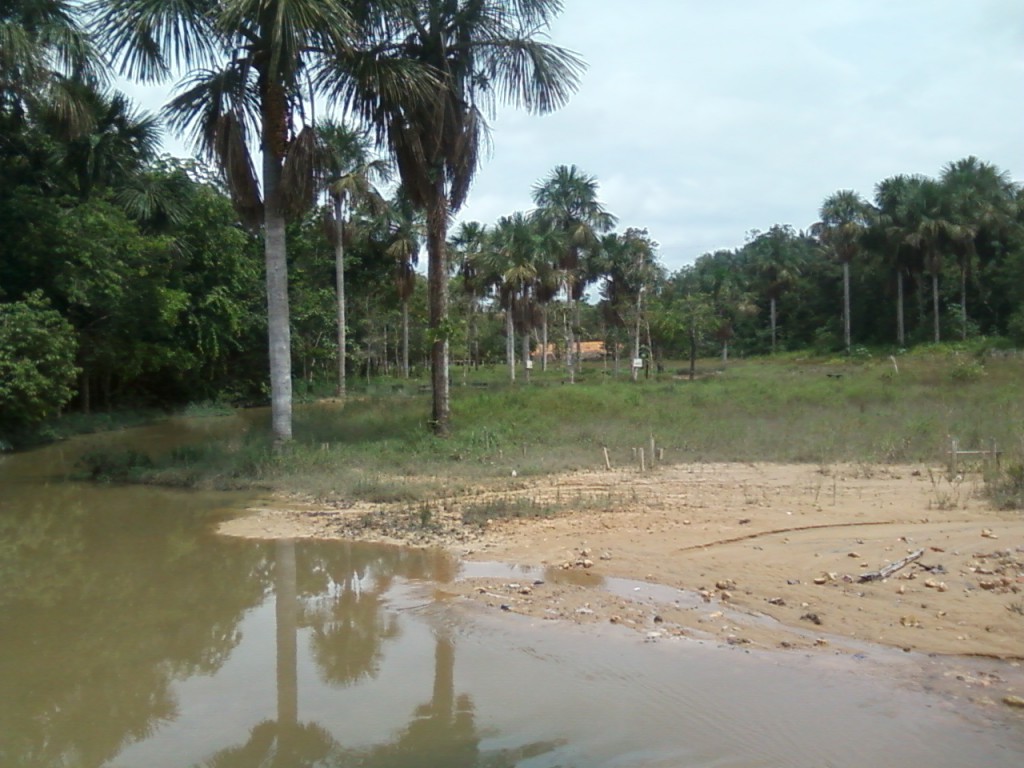 Foto-0012