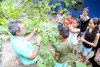 -HORTA ORGÂNICA - PCE FAPEAM - FOTOS ÉRICO XAVIER_-72