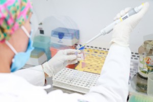 Imagem da notícia - Nanocápsula de diclofenaco é capaz de aumentar efeito terapêutico e reduzir efeitos colaterais no corpo