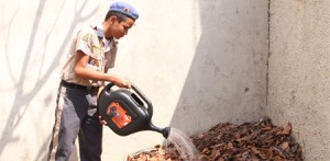 Imagem da notícia - Estudantes usam lixo orgânico para criar compostagem em escola na Zona Oeste de Manaus
