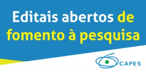 Imagem da notícia - Programas internacionais da Capes ofertam mais de 400 bolsas