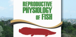 Imagem da notícia - Fapeam apoia evento inédito na América Latina sobre Fisiologia Reprodutiva de Peixe
