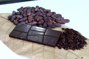 Imagem da notícia - Chocolate mais saudável a partir de insumos da floresta amazônica