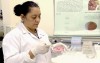 Estudo é coordenado pela doutora em Biotecnologia, Francisca Souza, do Inpa