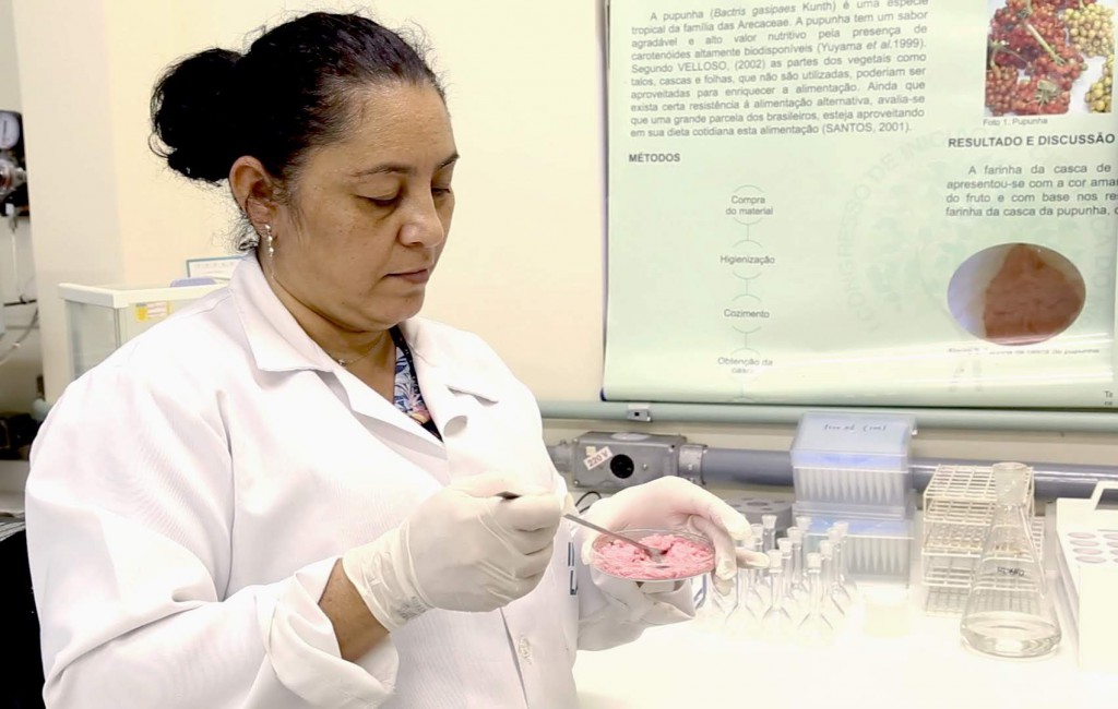 alimentos funcionais 1