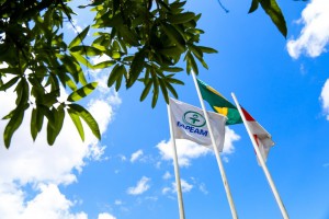 Imagem da notícia - PROPG-Capes-Fapeam recebe propostas até o dia 13 de maio