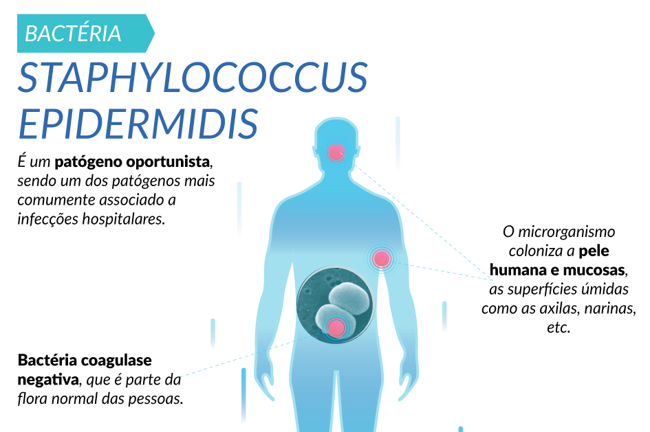 O Que é Uma Bactéria Multirresistente O Que é Uma Bactéria Multirresistente