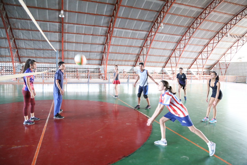 Volei