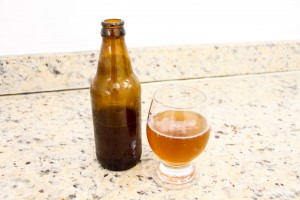 Imagem da notícia - Pesquisadores isolam leveduras com potencial para produção de cerveja no Amazonas