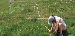 Imagem da notícia - Pesquisadores podem submeter propostas para chamada sobre biodiversidade e mudanças climáticas